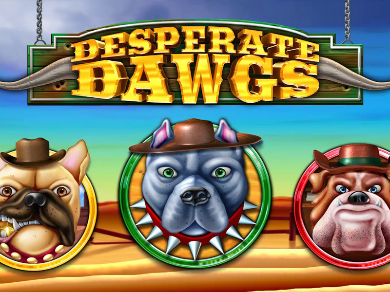 desperate-dawgs-2